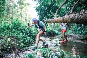 BIB: 
                            <button type="button" onclick="openModal(25430985)" class="btn btn-primary btn-sm float-right btn-popup" data-toggle="modal" data-target=".modal-high-quality">
                        <i class="fas fa-shopping-cart"></i> Add to Cart
                    </button>
                                            <button type="button" onclick="isThisMe(25430985, true)" class="btn btn-success btn-sm float-right btn-popup btn-isme hidden" data-toggle="tooltip" data-placement="bottom" title="นี่คือรูปของคุณใช่ไหม คลิกที่นี่เพื่อเอาเข้าอัลบั้ม">
                        <i class="fas fa-plus"></i> Add to album
                    </button>
                    <button type="button" onclick="isThisMe(25430985, false)" class="btn btn-warning btn-sm float-right btn-popup btn-isnotme hidden">
                        <i class="fas fa-ban"></i> Remove from album
                    </button>